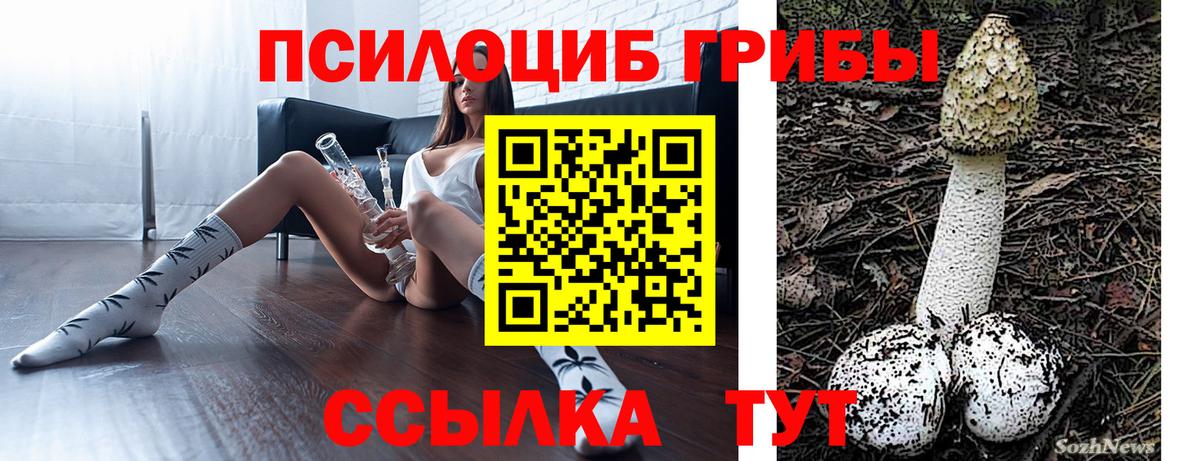 Псилоцибиновые грибы мицелий  Псилоцибиновые грибы ЛСД  Владивосток  Вход с VPN 